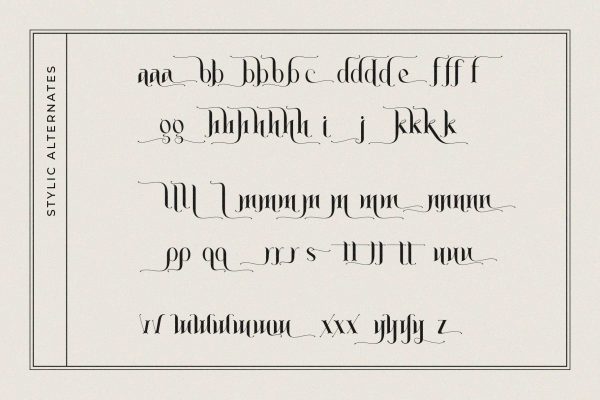 Absolute - Modern Serif - Image 8