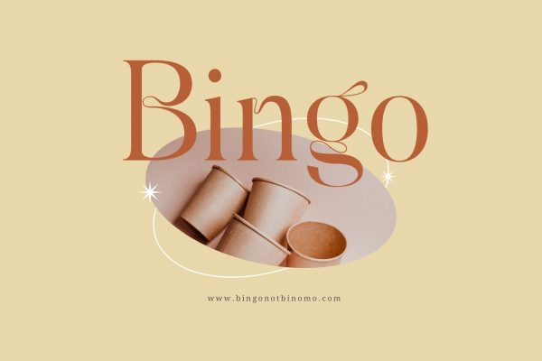Quorga - Aesthetic Serif - Image 2