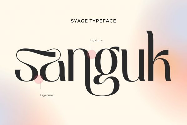 Syage - Modern Logo Font - Image 11