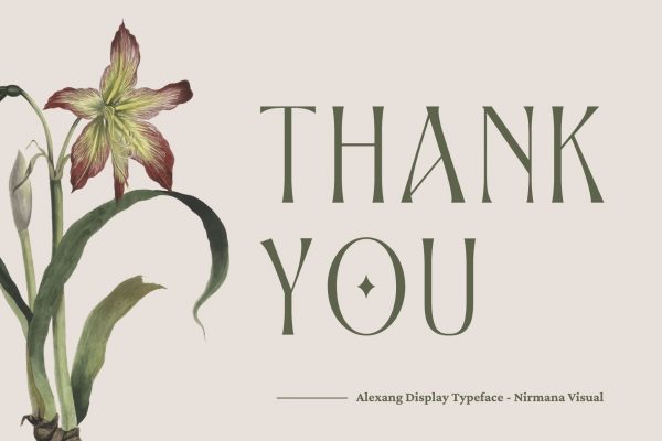 Alexang Display - Branding Logo Font - Image 12