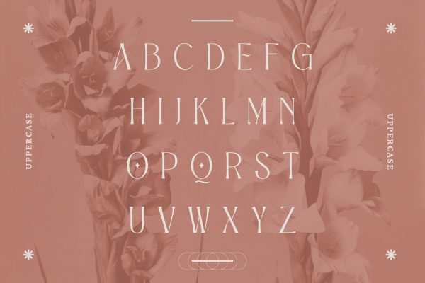 Alexang Display - Branding Logo Font - Image 3