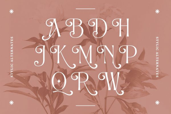 Alexang Display - Branding Logo Font - Image 5
