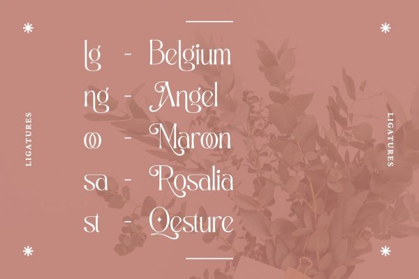 Alexang Display - Branding Logo Font - Image 7