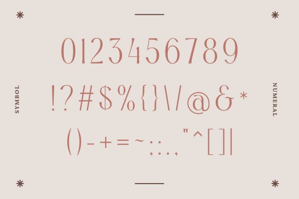 Alexang Display - Branding Logo Font - Image 8