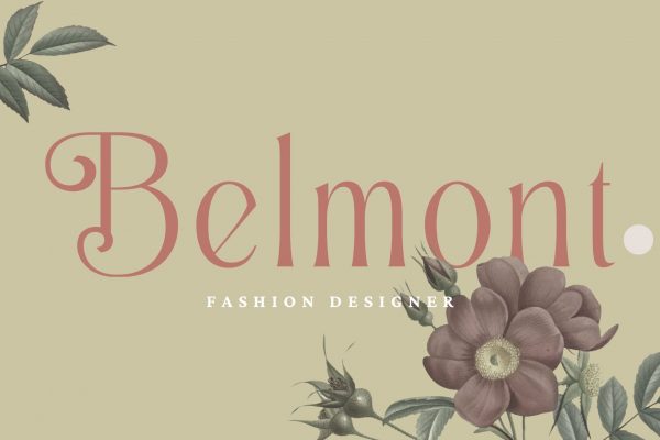 Alexang Display - Branding Logo Font - Image 10