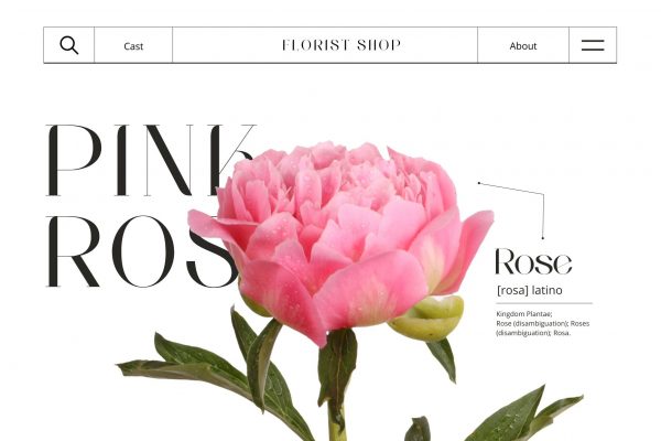 Aroma Beauty - Luxury Logo Font - Image 8