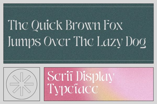 Vintage Retro - Branding Logo Font - Image 3