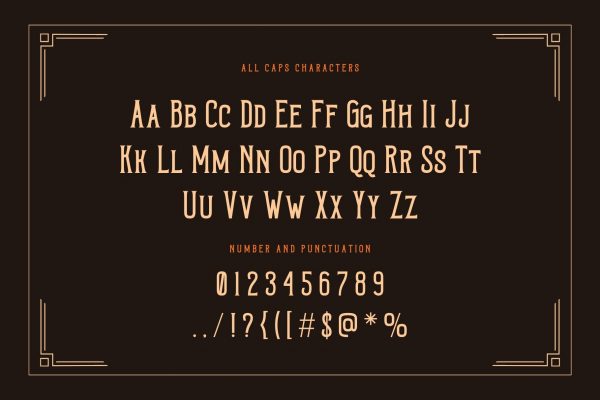 Vintage Rough - Branding Logo Font - Image 3