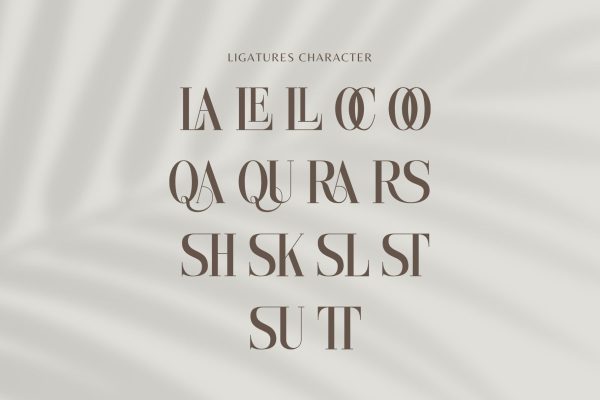 Ebitung - Modern Branding Ligatures Font - Image 10