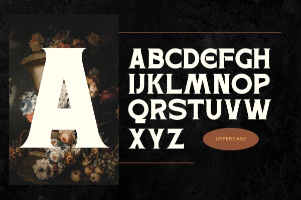 Retro Erosa - Modern Logo Font - Image 4
