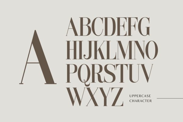 Ebitung - Modern Branding Ligatures Font - Image 5