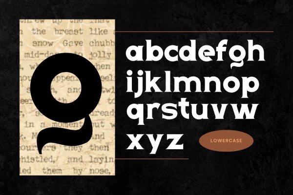 Retro Erosa - Modern Logo Font - Image 6