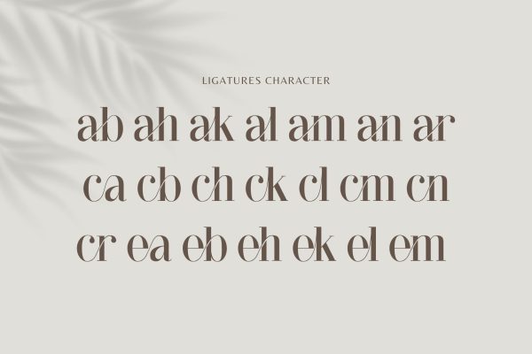 Ebitung - Modern Branding Ligatures Font - Image 8