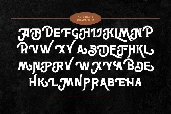 Retro Erosa - Modern Logo Font - Image 9