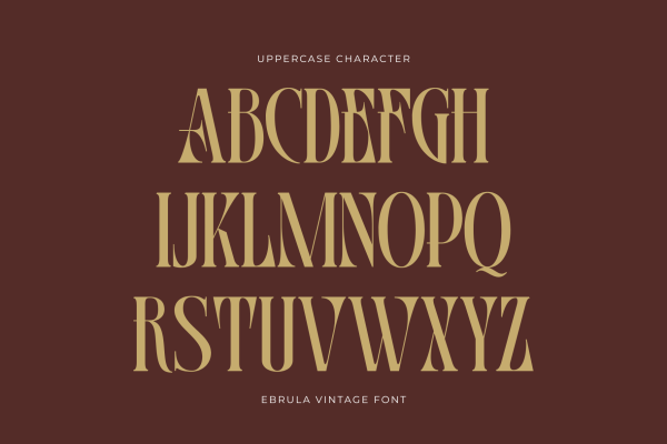 Ebrula Vintage - Classic Serif - Image 6