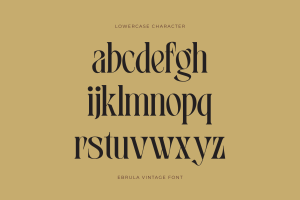 Ebrula Vintage - Classic Serif - Image 4