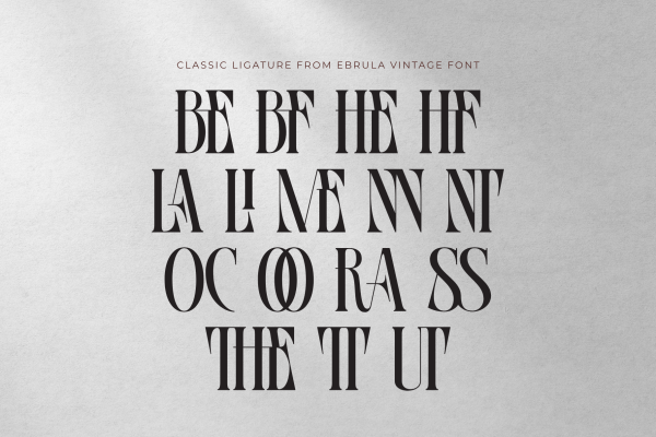 Ebrula Vintage - Classic Serif - Image 3