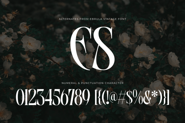 Ebrula Vintage - Classic Serif - Image 2