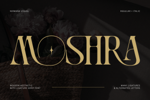 Moshra Aesthetic - Modern Logo Font