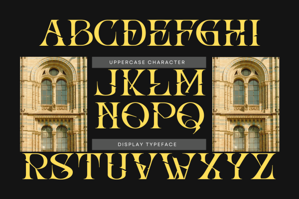 Abho Luxury - Modern Logo Font - Image 5