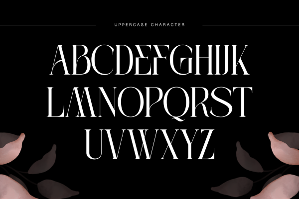 Kalieb Luxury -  Branding Logo Font - Image 6