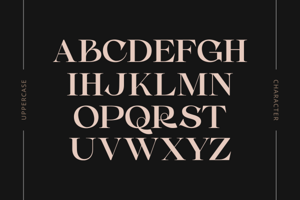 Casko Luxury - Modern Logo Font - Image 2