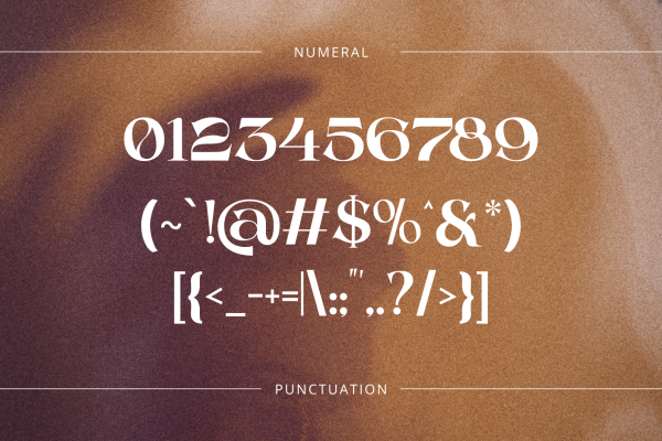 Casko Luxury - Modern Logo Font - Image 4