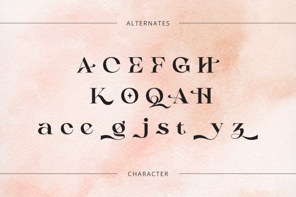 Casko Luxury - Modern Logo Font - Image 7