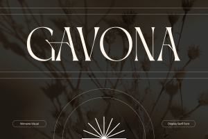 Gavona Elegant - Modern Logo Font