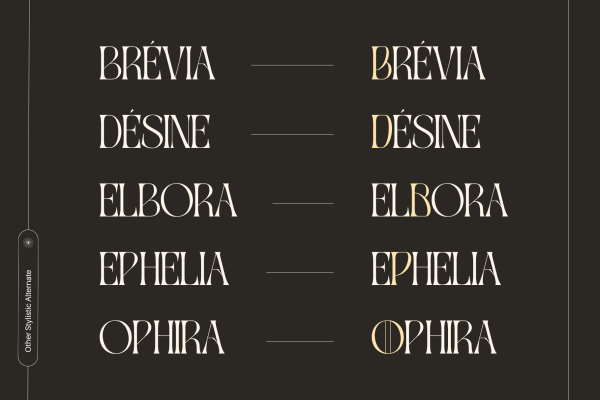 Gavona Elegant - Modern Logo Font - Image 10