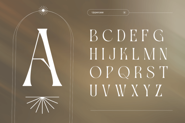 Gavona Elegant - Modern Logo Font - Image 8
