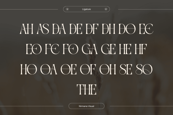 Gavona Elegant - Modern Logo Font - Image 2