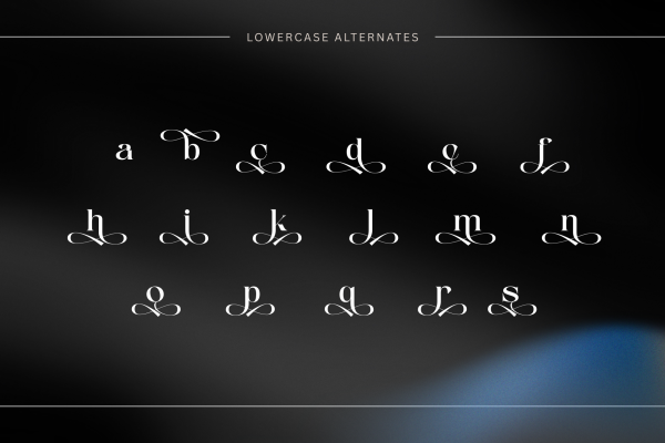 Anikea - Luxury Branding Logo Font - Image 10