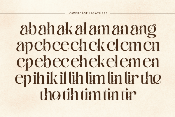 Bitho Luxury - Modern Logo Font - Image 10