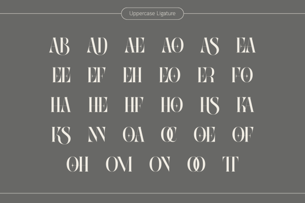 Abogia - Branding Logo Font - Image 11