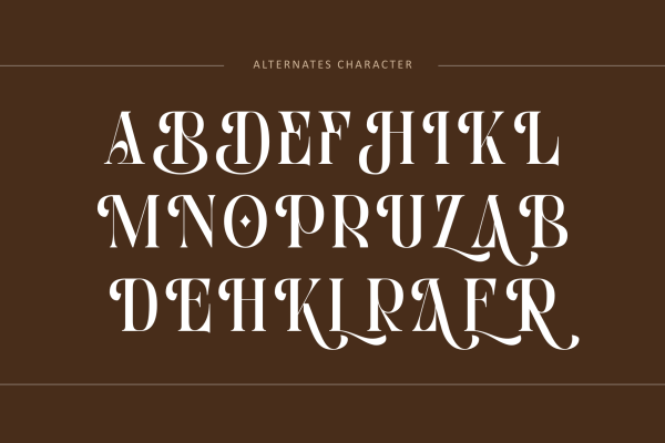 Bitho Luxury - Modern Logo Font - Image 11