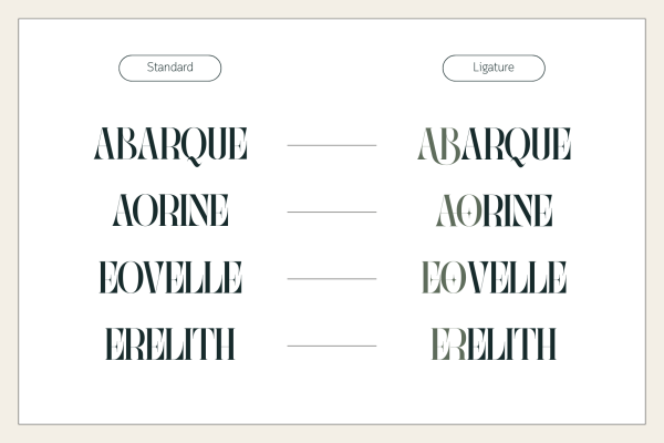Abogia - Branding Logo Font - Image 12