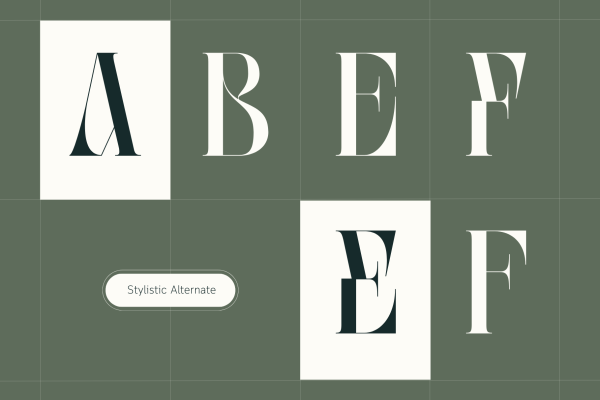 Abogia - Branding Logo Font - Image 14