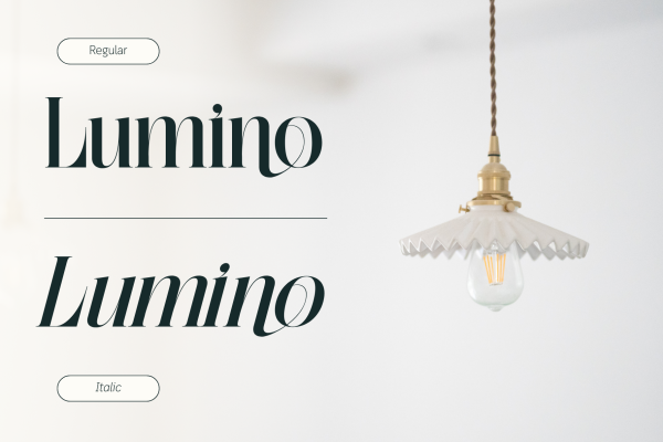 Abogia - Branding Logo Font - Image 15
