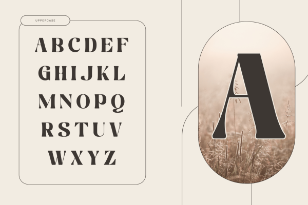 Martina Retro - Branding Logo Font - Image 2