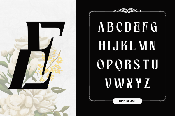 Foga - Modern Serif Logo Font - Image 2