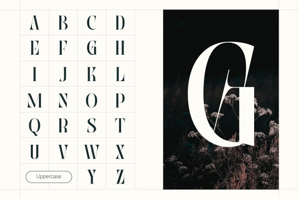 Abogia - Branding Logo Font - Image 2
