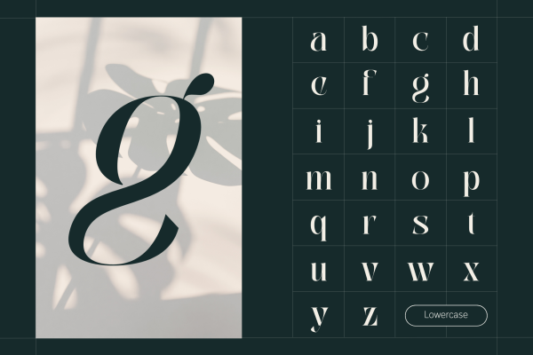 Abogia - Branding Logo Font - Image 3