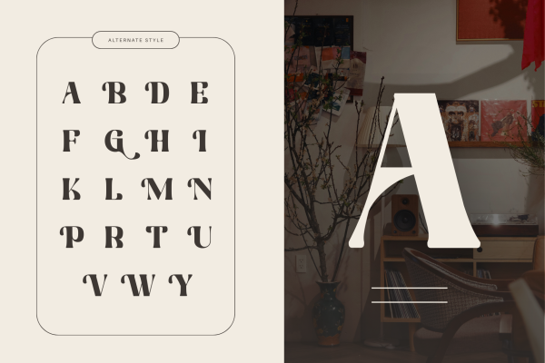 Martina Retro - Branding Logo Font - Image 5