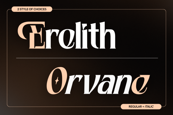 Foga - Modern Serif Logo Font - Image 5