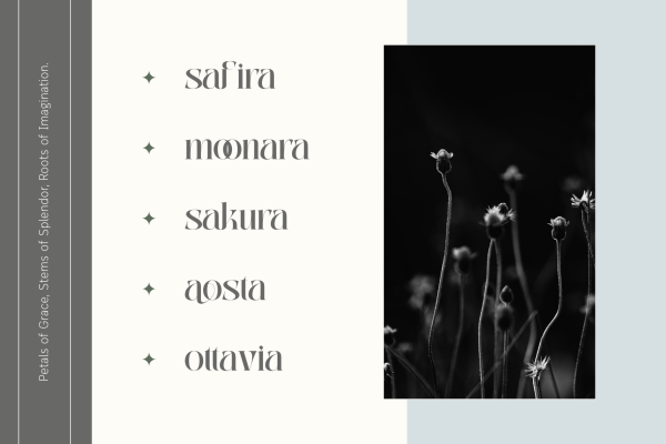 Abogia - Branding Logo Font - Image 5