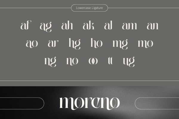 Abogia - Branding Logo Font - Image 6