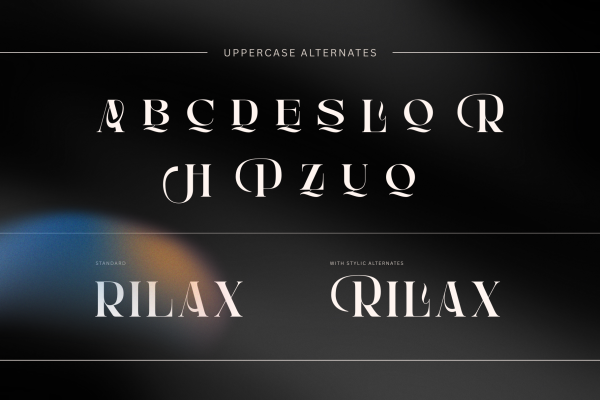 Anikea - Luxury Branding Logo Font - Image 7