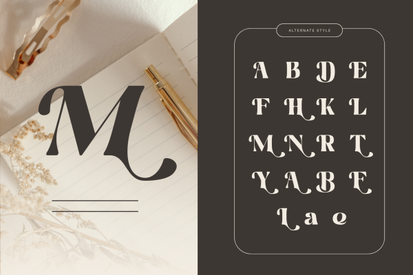 Martina Retro - Branding Logo Font - Image 7