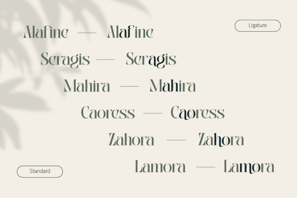 Abogia - Branding Logo Font - Image 7